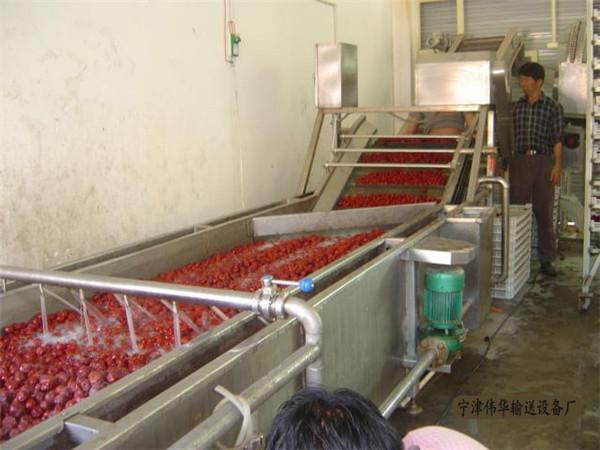 水果蔬菜清洗機(jī)