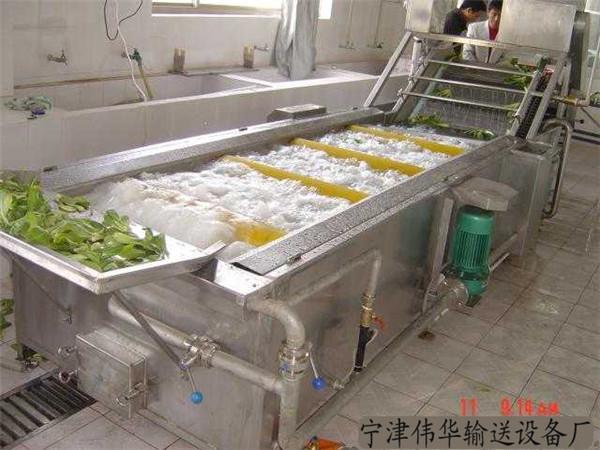 水果蔬菜清洗機(jī)
