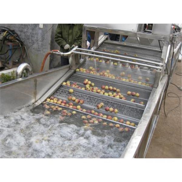 水果蔬菜清洗機(jī)